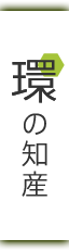 環の知産